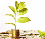 橡子(zǐ)樹(shù)3号私募證券投...